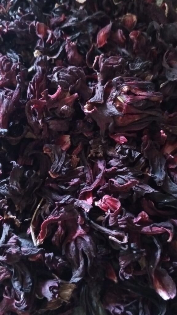 Hibiscus sabdariffa supplier, Dried hibiscus flower export, Hibiscus flower from Nigeria, Bulk hibiscus flower supplier, Organic hibiscus flower, Hibiscus roselle supplier, Hibiscus bulk tea, Nigeria hibiscus flower export, Hibiscus flower exporter, Roselle, Hibiscus, Hibiscus roselle,