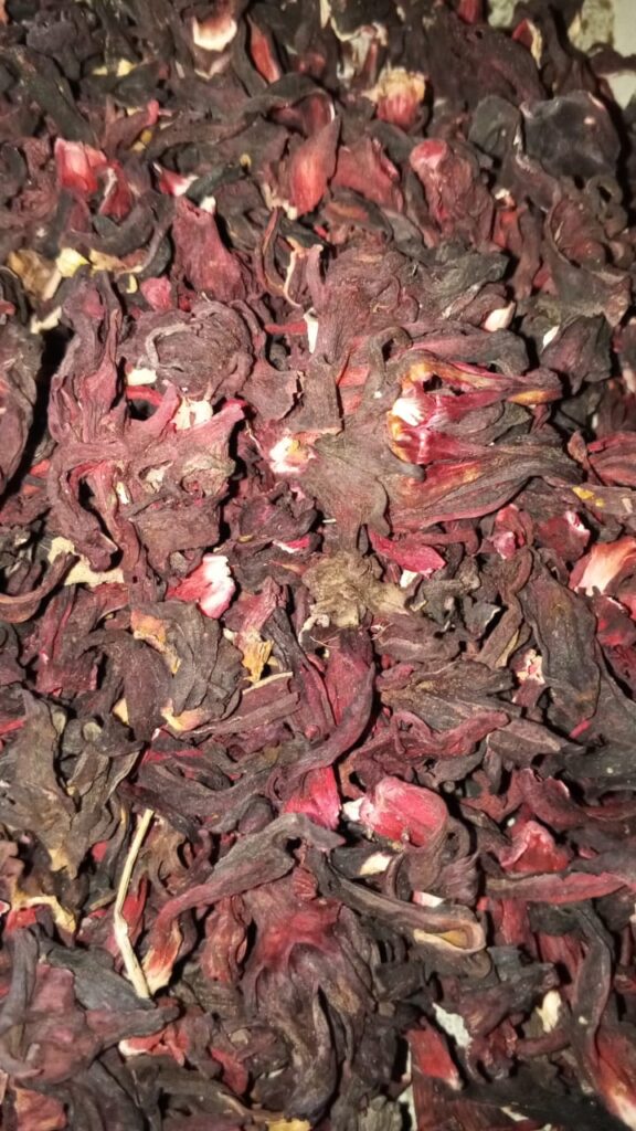 Hibiscus sabdariffa supplier, Dried hibiscus flower export, Hibiscus flower from Nigeria, Bulk hibiscus flower supplier, Organic hibiscus flower, Hibiscus roselle supplier, Hibiscus bulk tea, Nigeria hibiscus flower export, Hibiscus flower exporter, Roselle, Hibiscus, Hibiscus roselle,