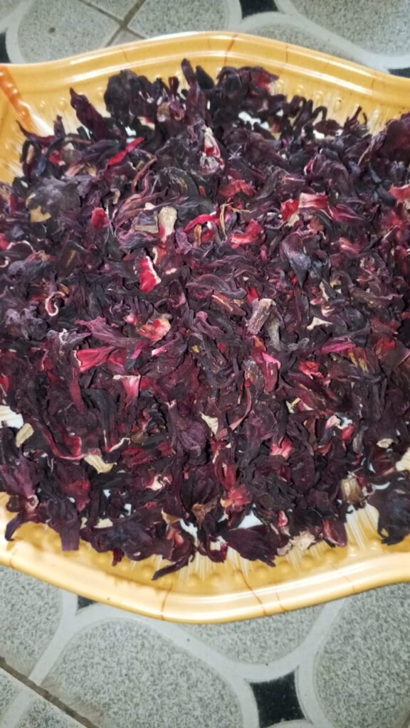 Hibiscus sabdariffa supplier, Dried hibiscus flower export, Hibiscus flower from Nigeria, Bulk hibiscus flower supplier, Organic hibiscus flower, Hibiscus roselle supplier, Hibiscus bulk tea, Nigeria hibiscus flower export, Hibiscus flower exporter, Roselle, Hibiscus, Hibiscus roselle,