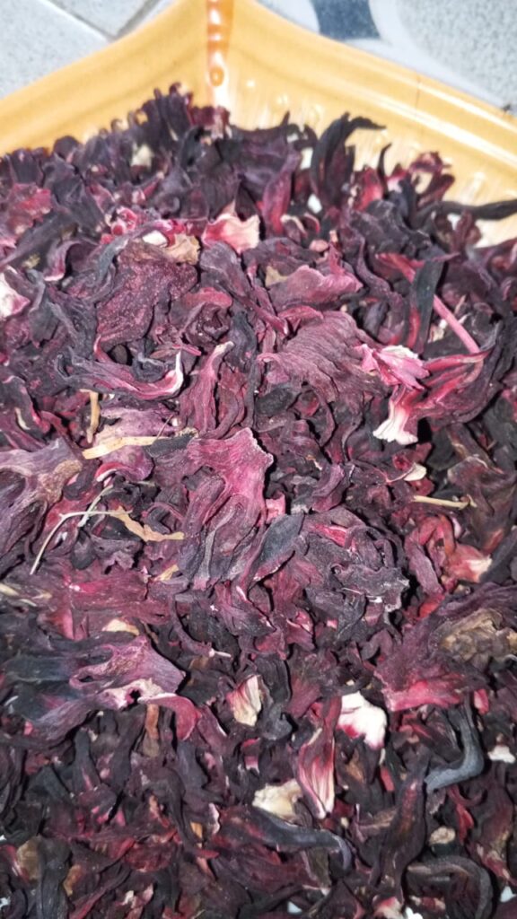 Hibiscus sabdariffa supplier, Dried hibiscus flower export, Hibiscus flower from Nigeria, Bulk hibiscus flower supplier, Organic hibiscus flower, Hibiscus roselle supplier, Hibiscus bulk tea, Nigeria hibiscus flower export, Hibiscus flower exporter, Roselle, Hibiscus, Hibiscus roselle,