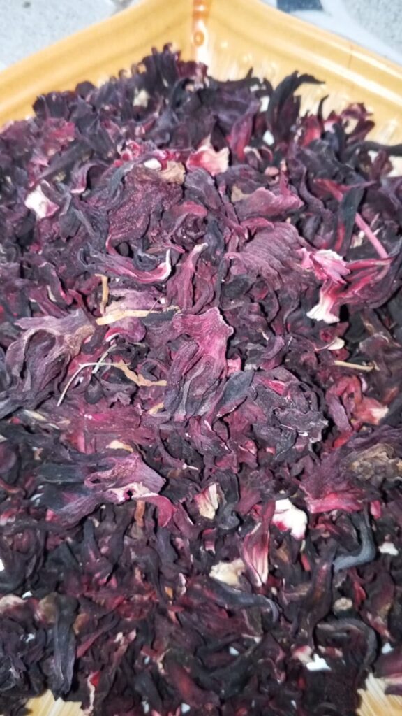 Hibiscus sabdariffa supplier, Dried hibiscus flower export, Hibiscus flower from Nigeria, Bulk hibiscus flower supplier, Organic hibiscus flower, Hibiscus roselle supplier, Hibiscus bulk tea, Nigeria hibiscus flower export, Hibiscus flower exporter, Roselle, Hibiscus, Hibiscus roselle,