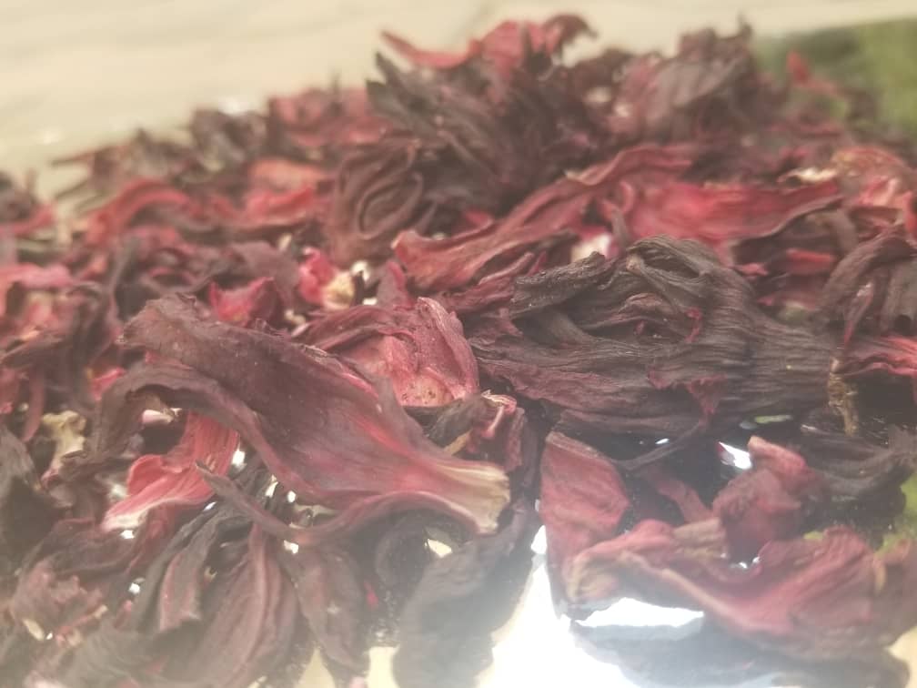 Hibiscus sabdariffa supplier, Dried hibiscus flower export, Hibiscus flower from Nigeria, Bulk hibiscus flower supplier, Organic hibiscus flower, Hibiscus roselle supplier, Hibiscus bulk tea, Nigeria hibiscus flower export, Hibiscus flower exporter, Roselle, Hibiscus, Hibiscus roselle,