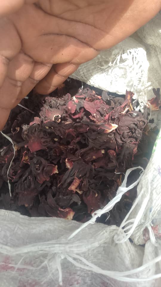 Hibiscus sabdariffa supplier, Dried hibiscus flower export, Hibiscus flower from Nigeria, Bulk hibiscus flower supplier, Organic hibiscus flower, Hibiscus roselle supplier, Hibiscus bulk tea, Nigeria hibiscus flower export, Hibiscus flower exporter, Roselle, Hibiscus, Hibiscus roselle,