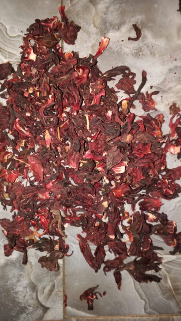 Hibiscus sabdariffa supplier, Dried hibiscus flower export, Hibiscus flower from Nigeria, Bulk hibiscus flower supplier, Organic hibiscus flower, Hibiscus roselle supplier, Hibiscus bulk tea, Nigeria hibiscus flower export, Hibiscus flower exporter, Roselle, Hibiscus, Hibiscus roselle,