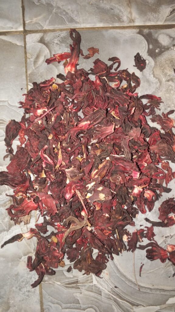 Hibiscus sabdariffa supplier, Dried hibiscus flower export, Hibiscus flower from Nigeria, Bulk hibiscus flower supplier, Organic hibiscus flower, Hibiscus roselle supplier, Hibiscus bulk tea, Nigeria hibiscus flower export, Hibiscus flower exporter, Roselle, Hibiscus, Hibiscus roselle,