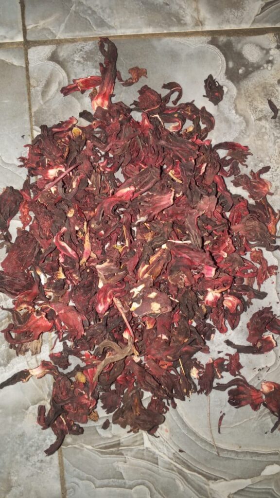 Hibiscus sabdariffa supplier, Dried hibiscus flower export, Hibiscus flower from Nigeria, Bulk hibiscus flower supplier, Organic hibiscus flower, Hibiscus roselle supplier, Hibiscus bulk tea, Nigeria hibiscus flower export, Hibiscus flower exporter, Roselle, Hibiscus, Hibiscus roselle,