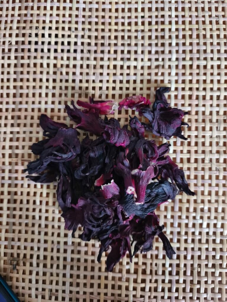 Hibiscus sabdariffa supplier, Dried hibiscus flower export, Hibiscus flower from Nigeria, Bulk hibiscus flower supplier, Organic hibiscus flower, Hibiscus roselle supplier, Hibiscus bulk tea, Nigeria hibiscus flower export, Hibiscus flower exporter, Roselle, Hibiscus, Hibiscus roselle,