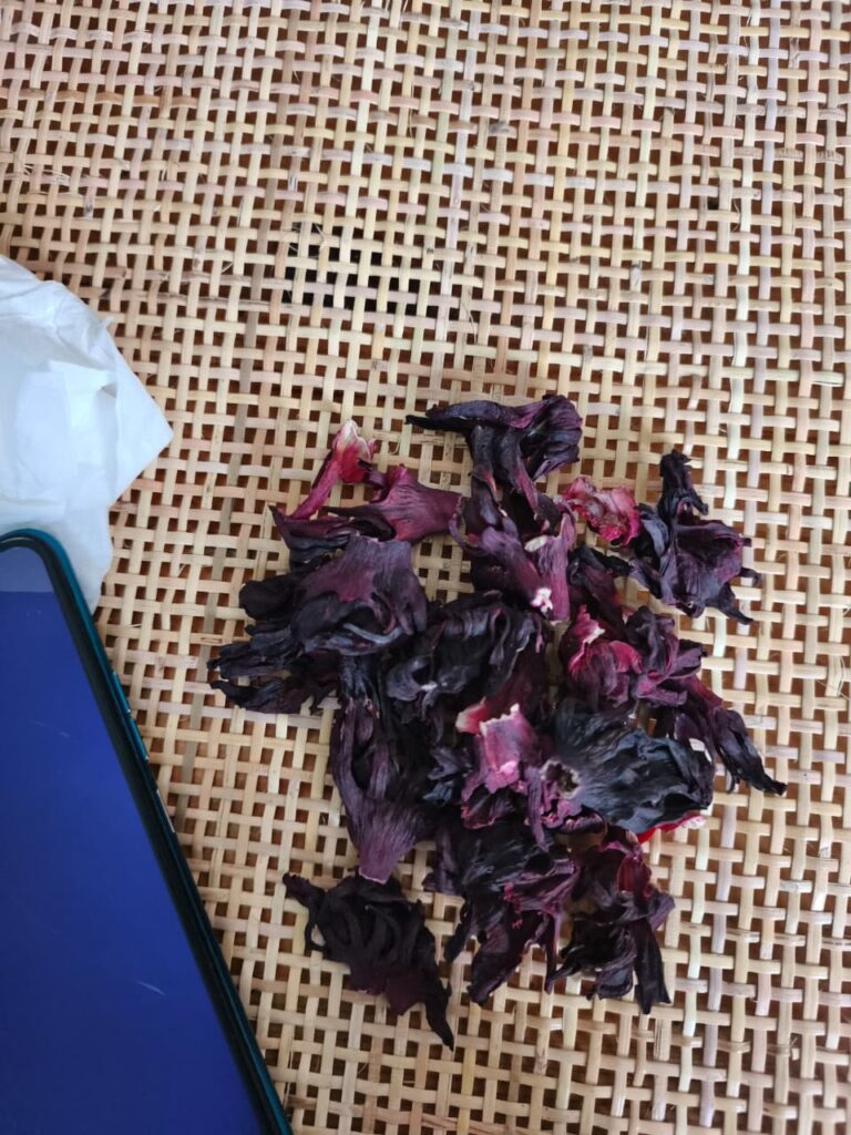 Hibiscus, hibiscus flower, hibiscus flower tea, hibiscus tea, hibiscus plant, hibiscus flower plant, hibiscus flower benefits, hibiscus sabdariffa plant, hibiscus sabdariffa, flower hibiscus, Hibiscus roselle supplier, Hibiscus bulk tea, Nigeria hibiscus flower export, Dried hibiscus flower export, 