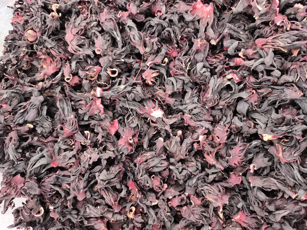 Hibiscus, hibiscus flower, hibiscus flower tea, hibiscus tea, hibiscus plant, hibiscus flower plant, hibiscus flower benefits, hibiscus sabdariffa plant, hibiscus sabdariffa, flower hibiscus, Hibiscus roselle supplier, Hibiscus bulk tea, Nigeria hibiscus flower export, Dried hibiscus flower export, hibiscus powder, hibiscus seeds, hibiscus flower for tea, hibiscus dry flower, Dried hibiscus flower, Natural hibiscus flower,