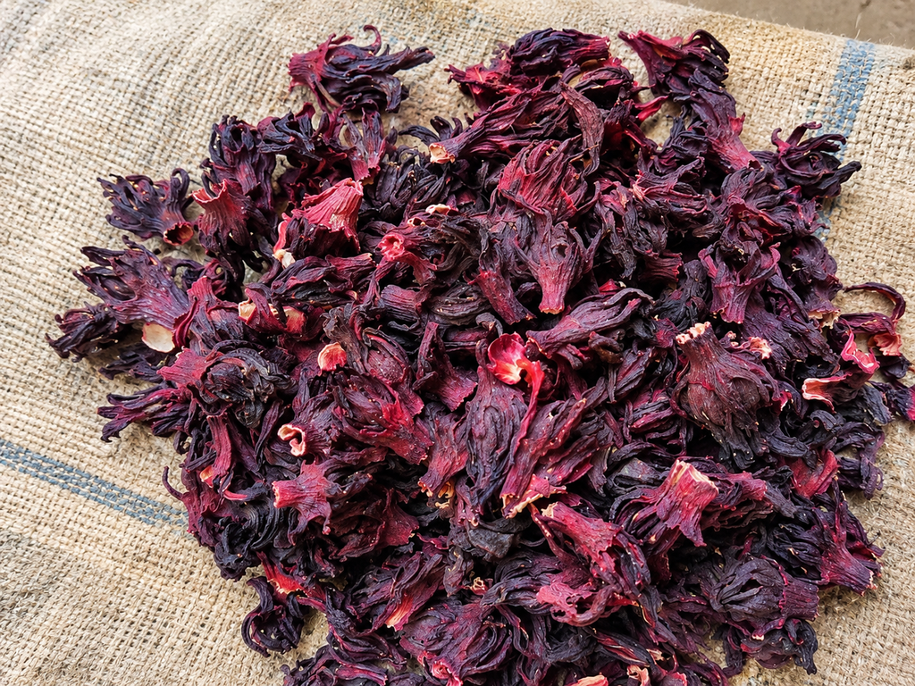 Hibiscus, hibiscus flower, hibiscus flower tea, hibiscus tea, hibiscus plant, hibiscus flower plant, hibiscus flower benefits, hibiscus sabdariffa plant, hibiscus sabdariffa, flower hibiscus, Hibiscus roselle supplier, Hibiscus bulk tea, Nigeria hibiscus flower export, Dried hibiscus flower export, hibiscus powder, hibiscus seeds, hibiscus flower for tea, hibiscus dry flower, Dried hibiscus flower, Natural hibiscus flower,