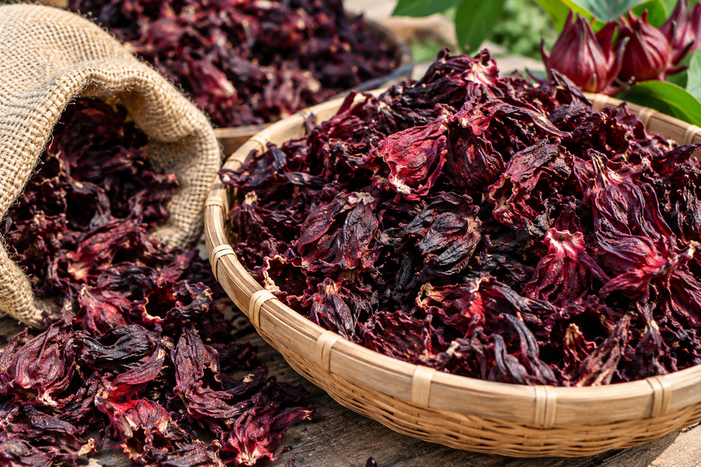 Hibiscus, hibiscus flower, hibiscus flower tea, hibiscus tea, hibiscus plant, hibiscus flower plant, hibiscus flower benefits, hibiscus sabdariffa plant, hibiscus sabdariffa, flower hibiscus, Hibiscus roselle supplier, Hibiscus bulk tea, Nigeria hibiscus flower export, Dried hibiscus flower export, hibiscus powder, hibiscus seeds, hibiscus flower for tea, hibiscus dry flower, Dried hibiscus flower, Natural hibiscus flower,